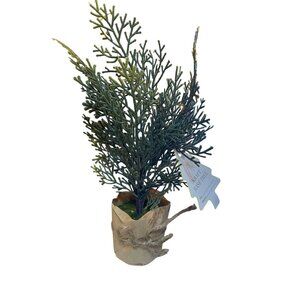 Tabletop Artificial Cypress Tree With Kraft Paper Base